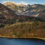 Апартаменты Novak
