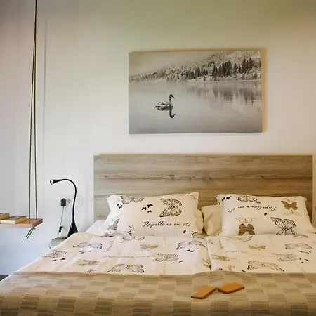 Novak Apartmán *