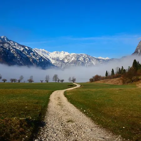 Novak Bohinj